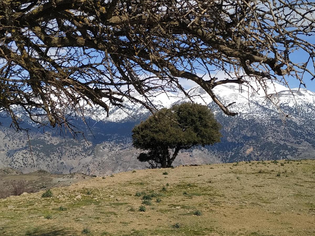 Il Silenzio Villa Magarikari ภายนอก รูปภาพ
