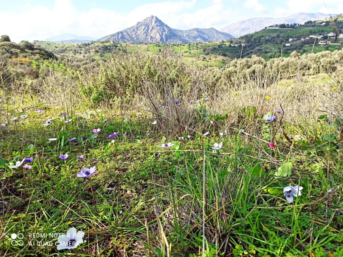 Il Silenzio Villa Magarikari ภายนอก รูปภาพ